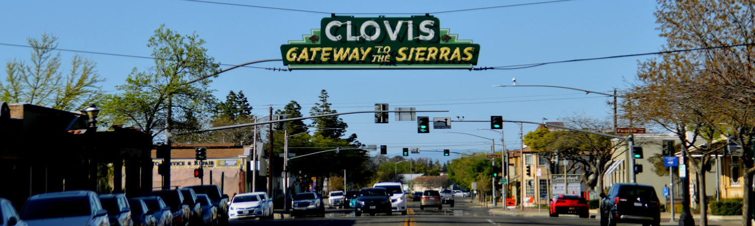 Banner image of Clovis